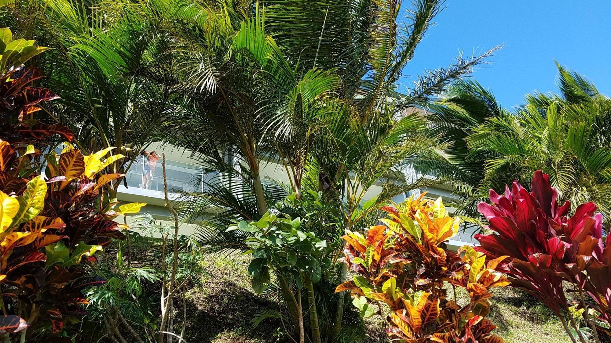 Lake Arenal Condos Naranjos Agrios Екстер'єр фото